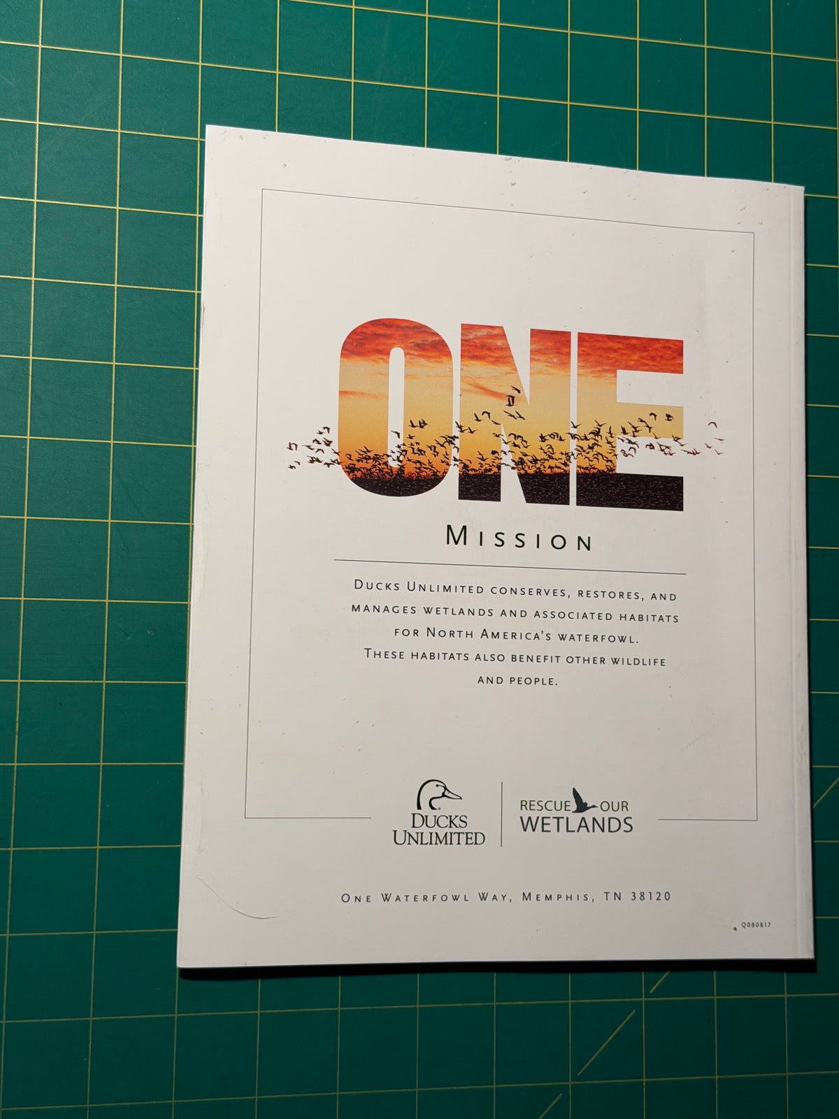 Ducks Unlimited 2017 Annual Report - Pamphlet, Used Good