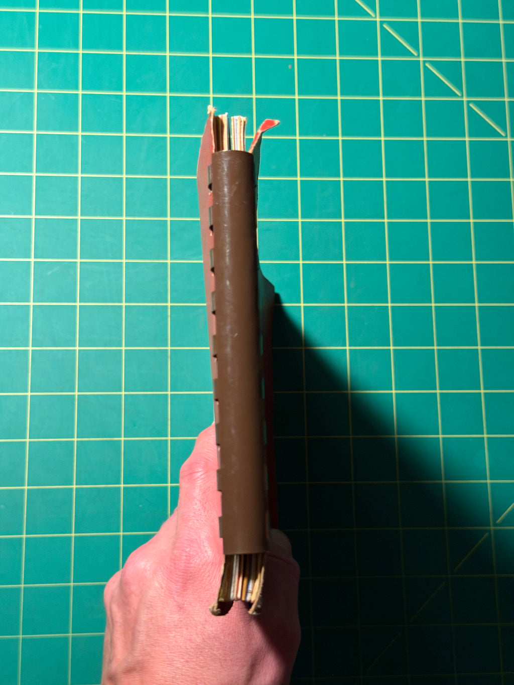 Gwen Frostic Art & Poetry / Personal Journal - Plastic Comb, Used Good