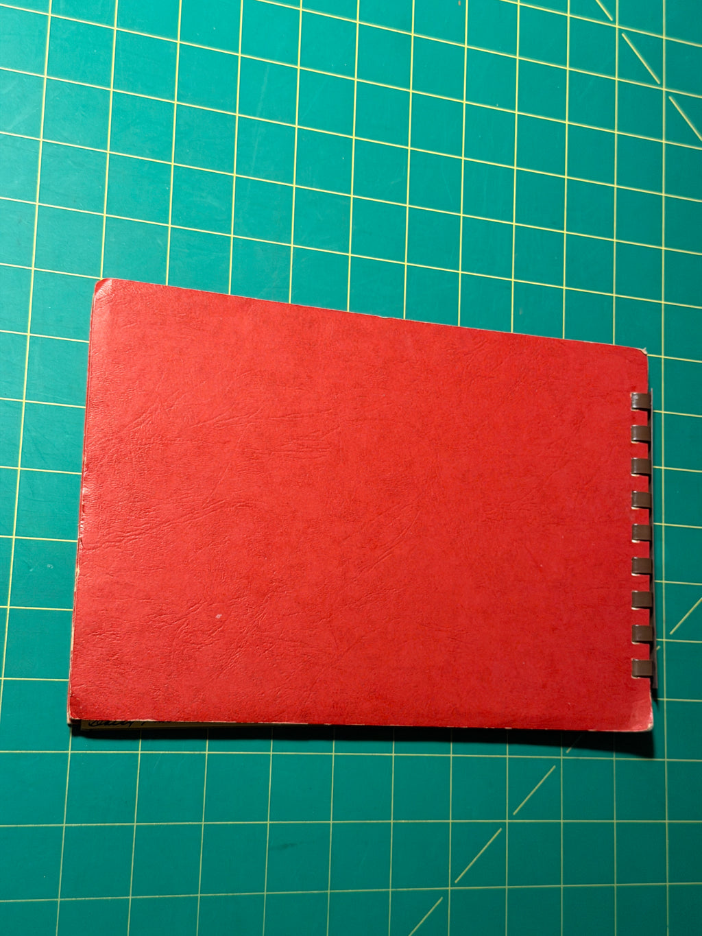 Gwen Frostic Art & Poetry / Personal Journal - Plastic Comb, Used Good
