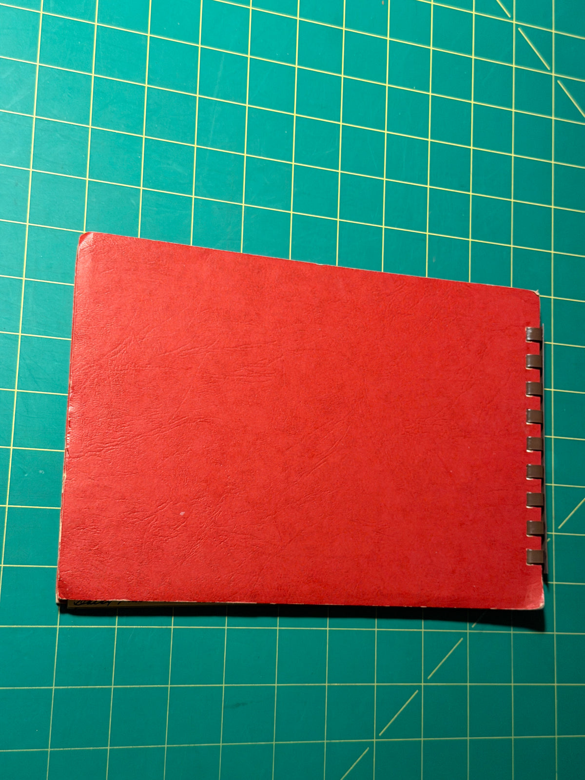 Gwen Frostic Art & Poetry / Personal Journal - Plastic Comb, Used Good