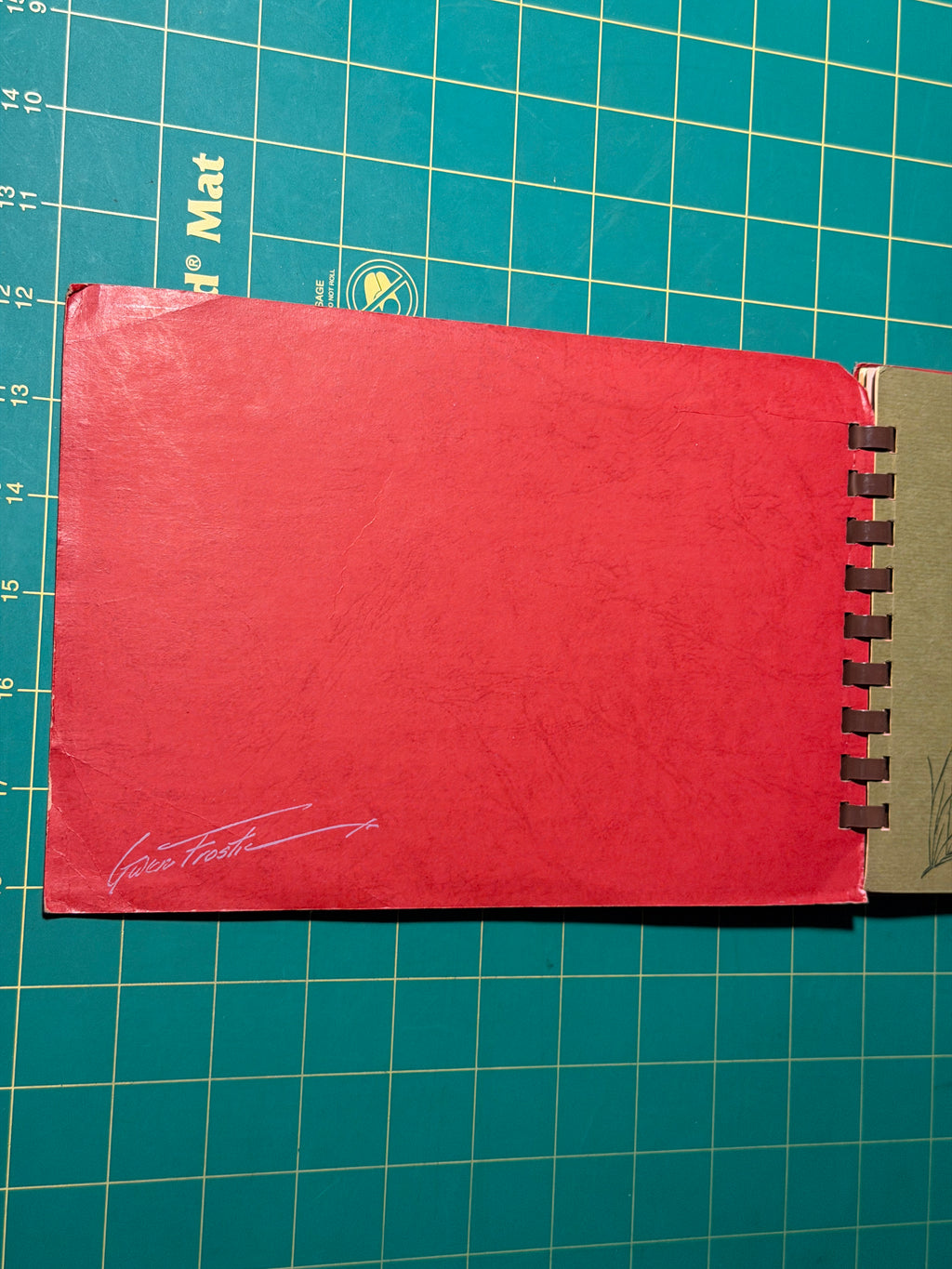 Gwen Frostic Art & Poetry / Personal Journal - Plastic Comb, Used Good