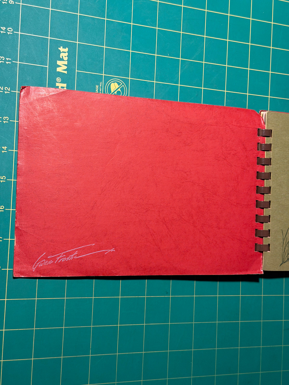 Gwen Frostic Art & Poetry / Personal Journal - Plastic Comb, Used Good