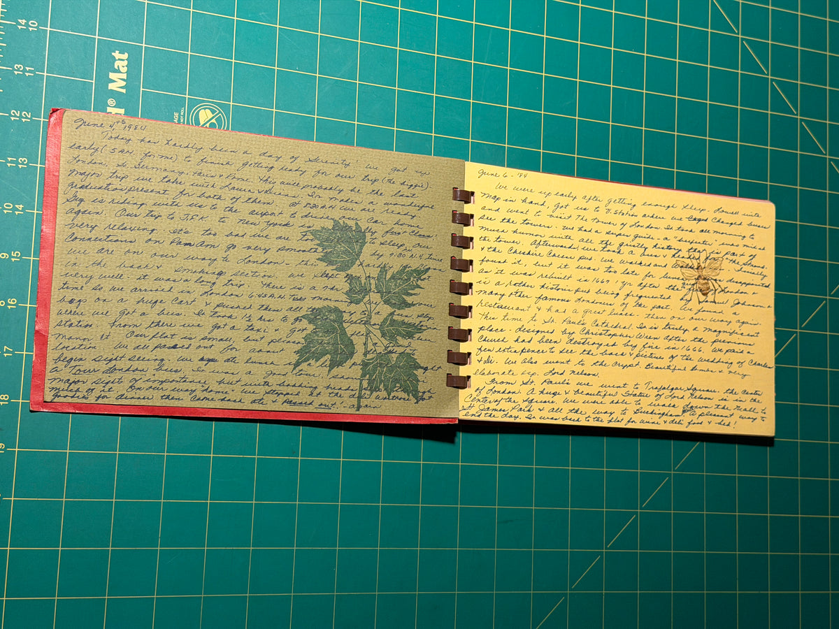 Gwen Frostic Art & Poetry / Personal Journal - Plastic Comb, Used Good