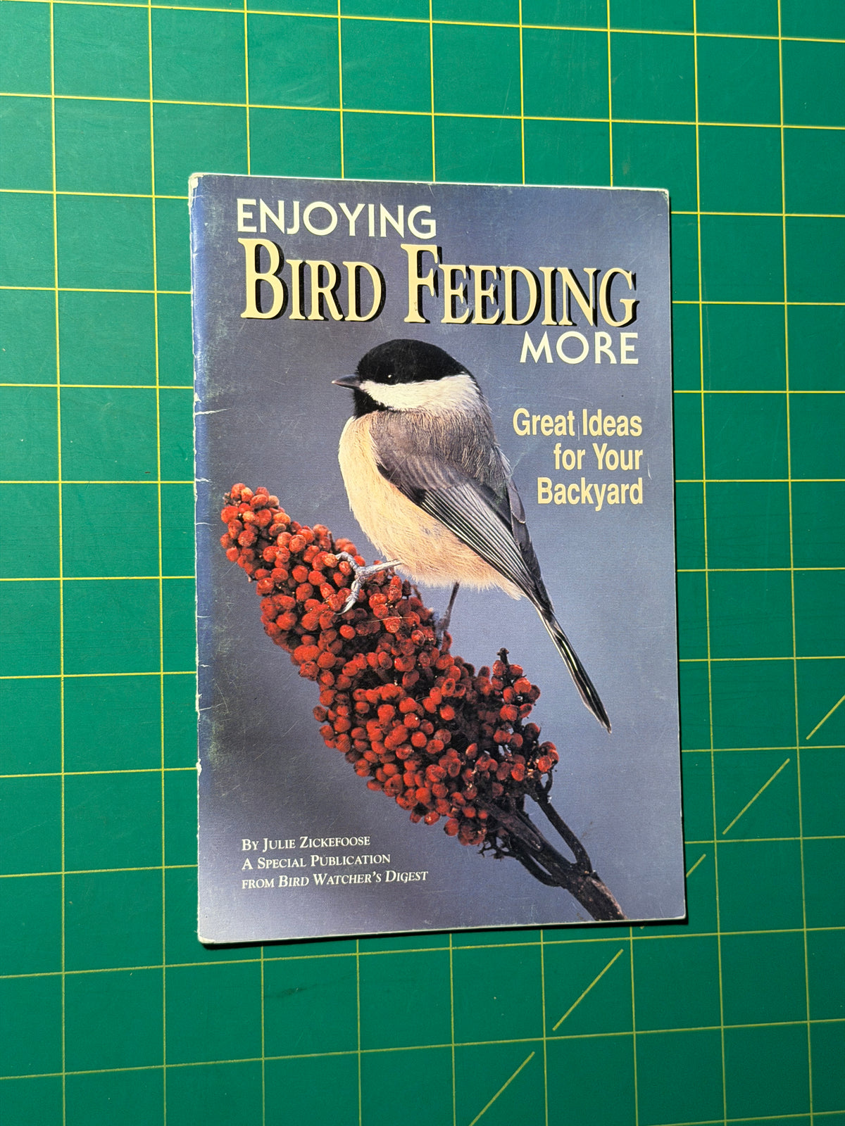 Enjoying Bird Feeding More - Pamphlet, Used Good