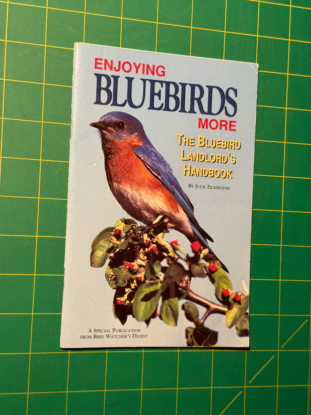 Enjoying Bluebirds More - Pamphlet, Used Good