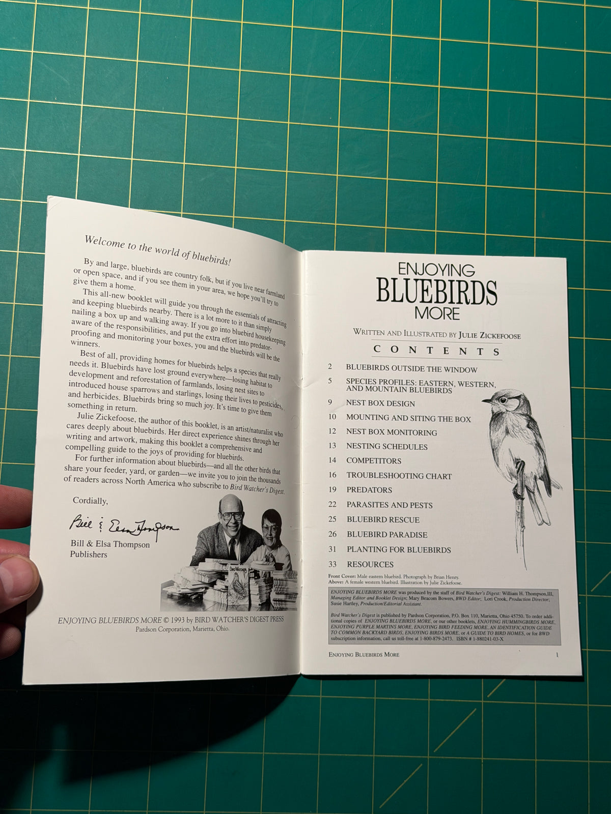 Enjoying Bluebirds More - Pamphlet, Used Good