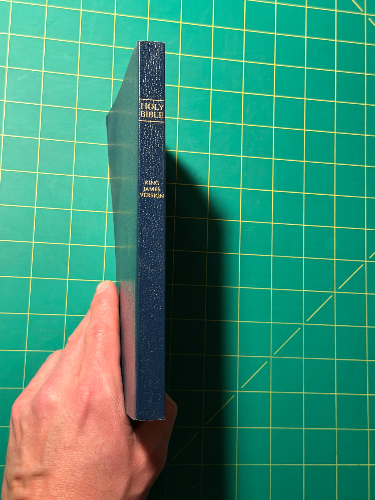 The Holy Bible: King James Version - Paperback, Used Good