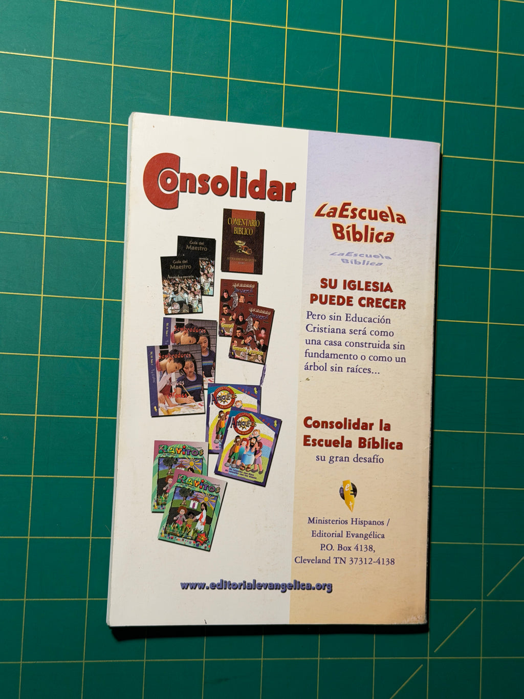 El Discipulo Biblico - Paperback, Used Acceptable