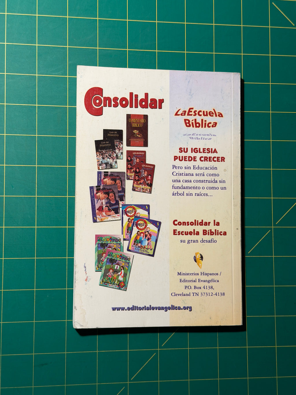 El Discipulo Biblico - Paperback, Used Acceptable