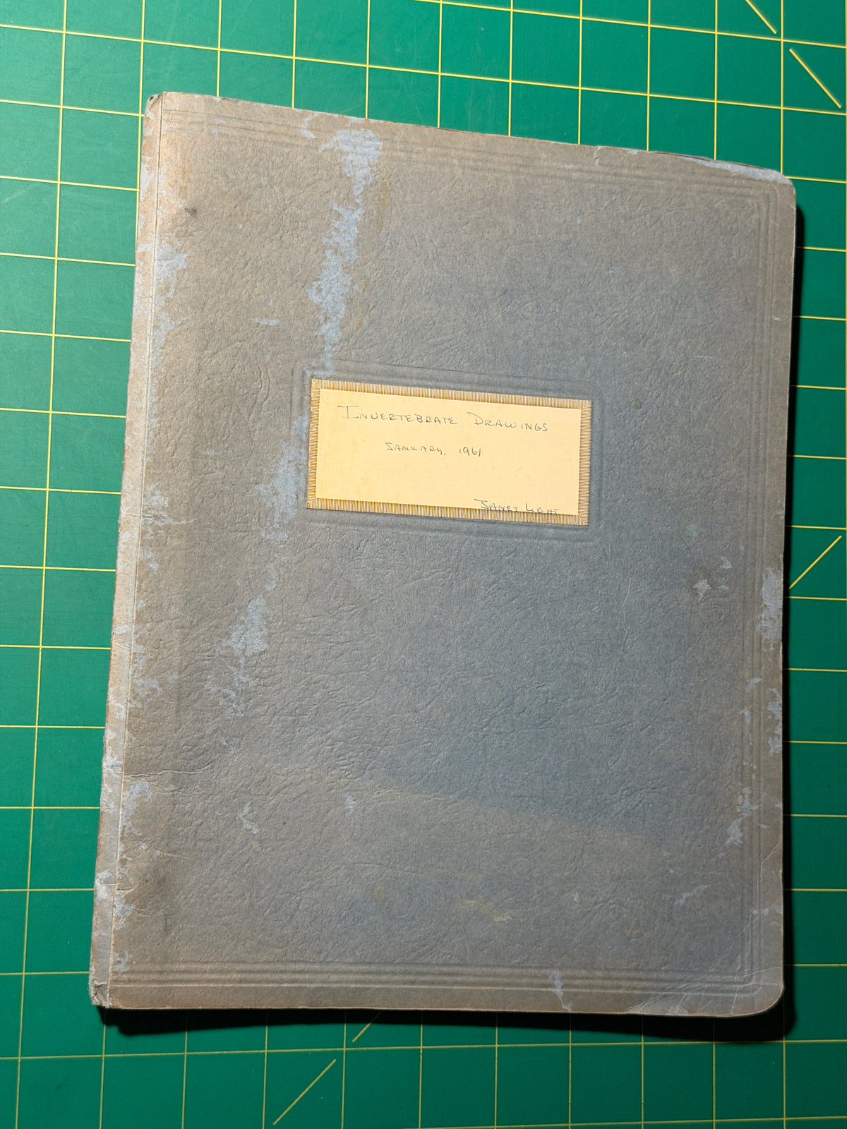 Invertebrate Drawings - Manuscript, Used Acceptable