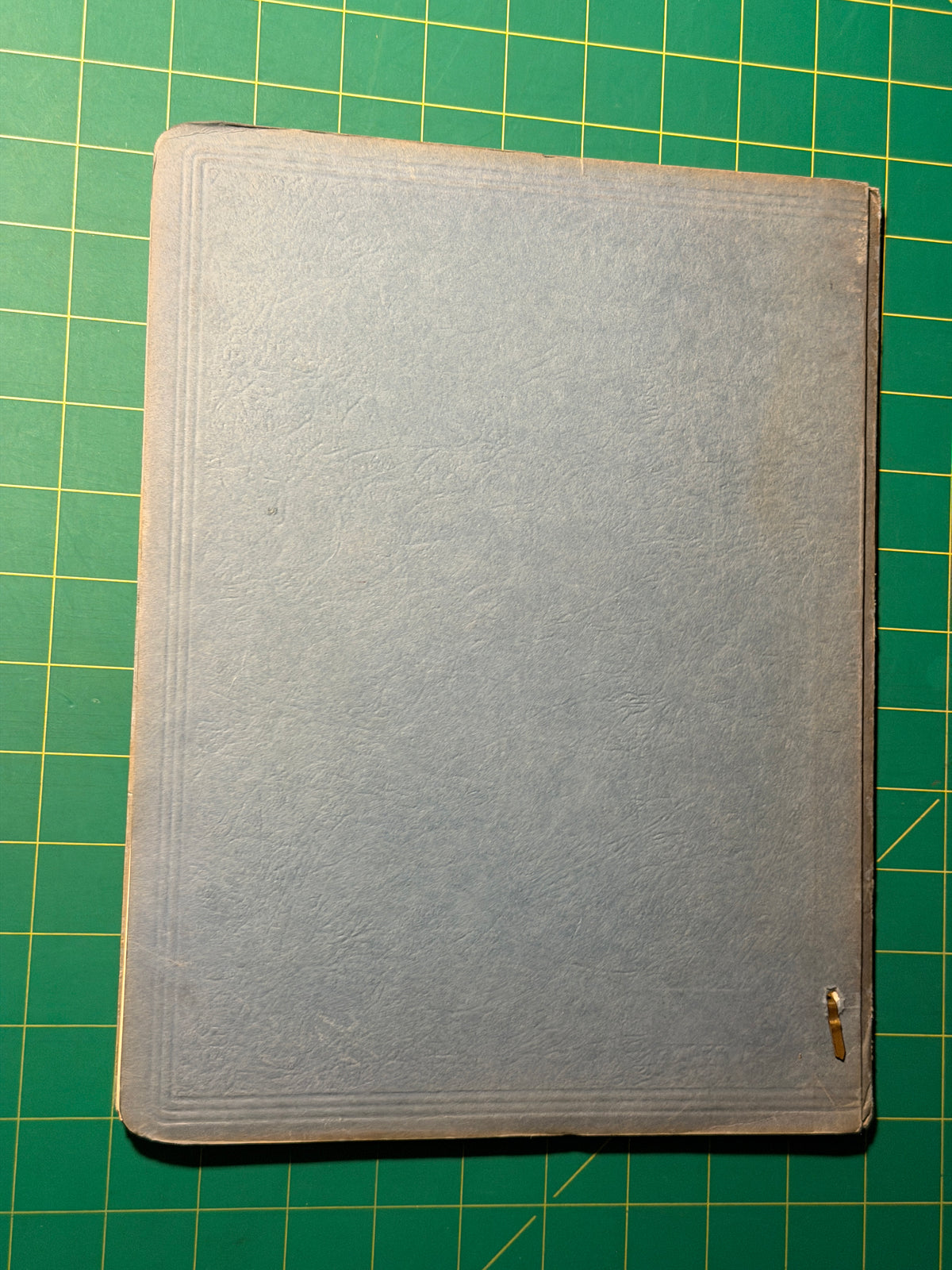 Invertebrate Drawings - Manuscript, Used Acceptable