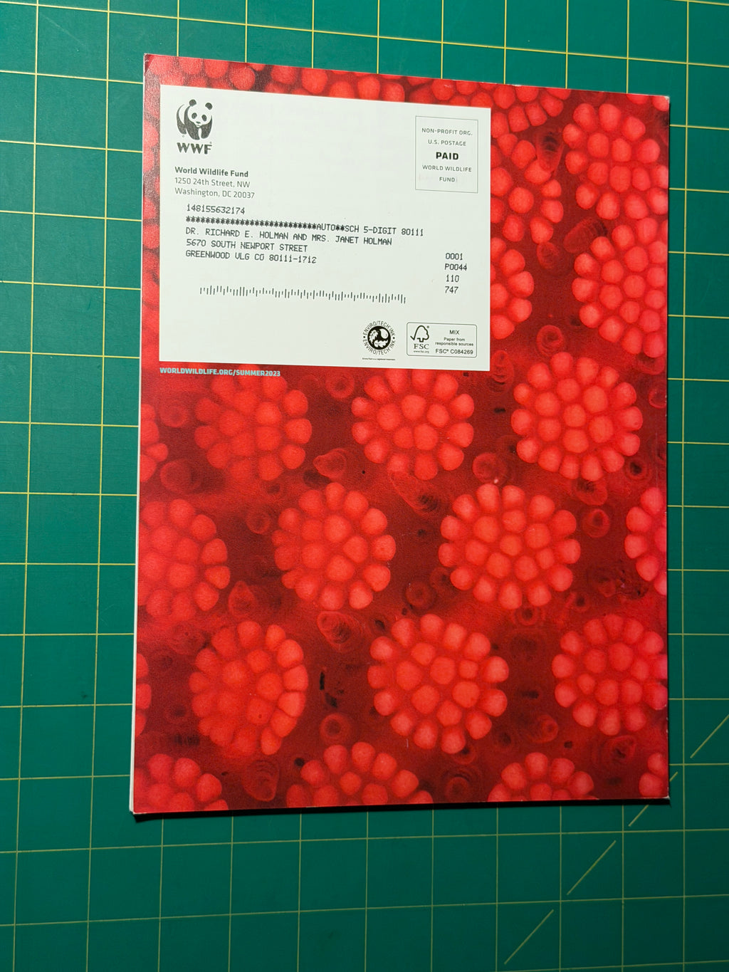 World Wildlife: Shared Spaces - Pamphlet, Used Good