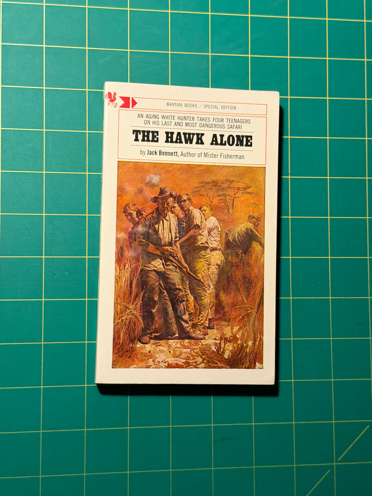 The Hawk Alone - Paperback, Used Good