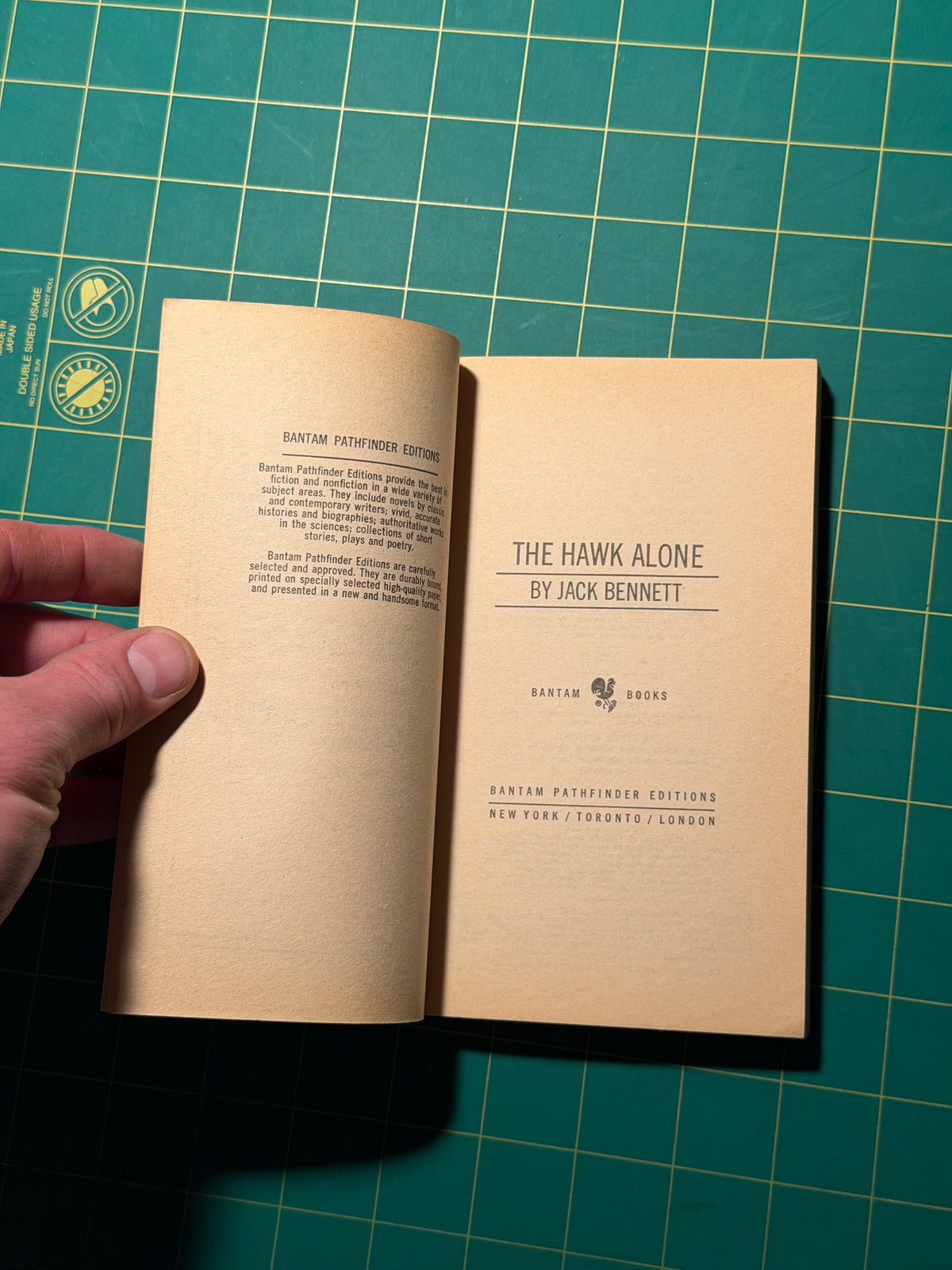 The Hawk Alone - Paperback, Used Good