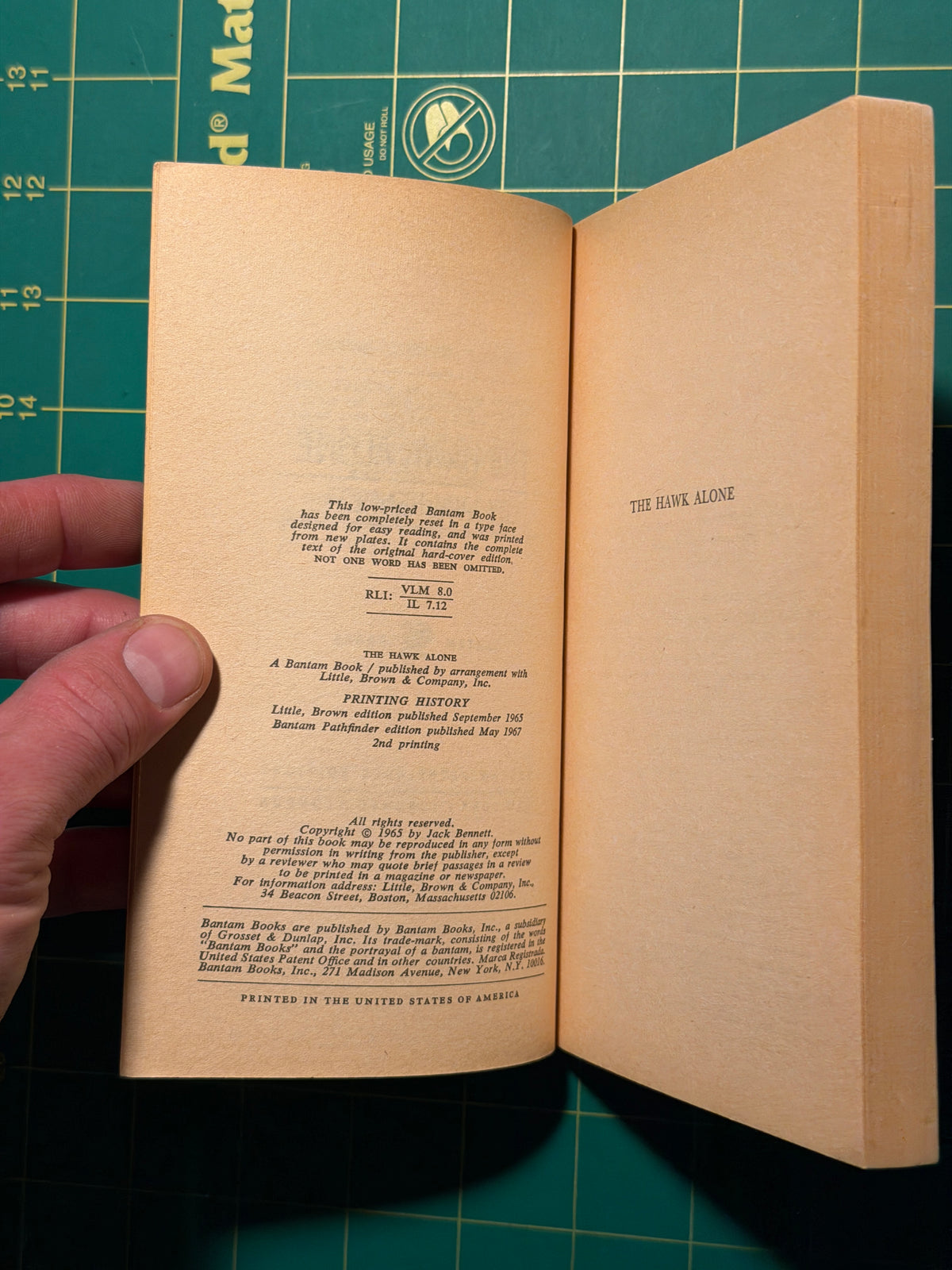 The Hawk Alone - Paperback, Used Good