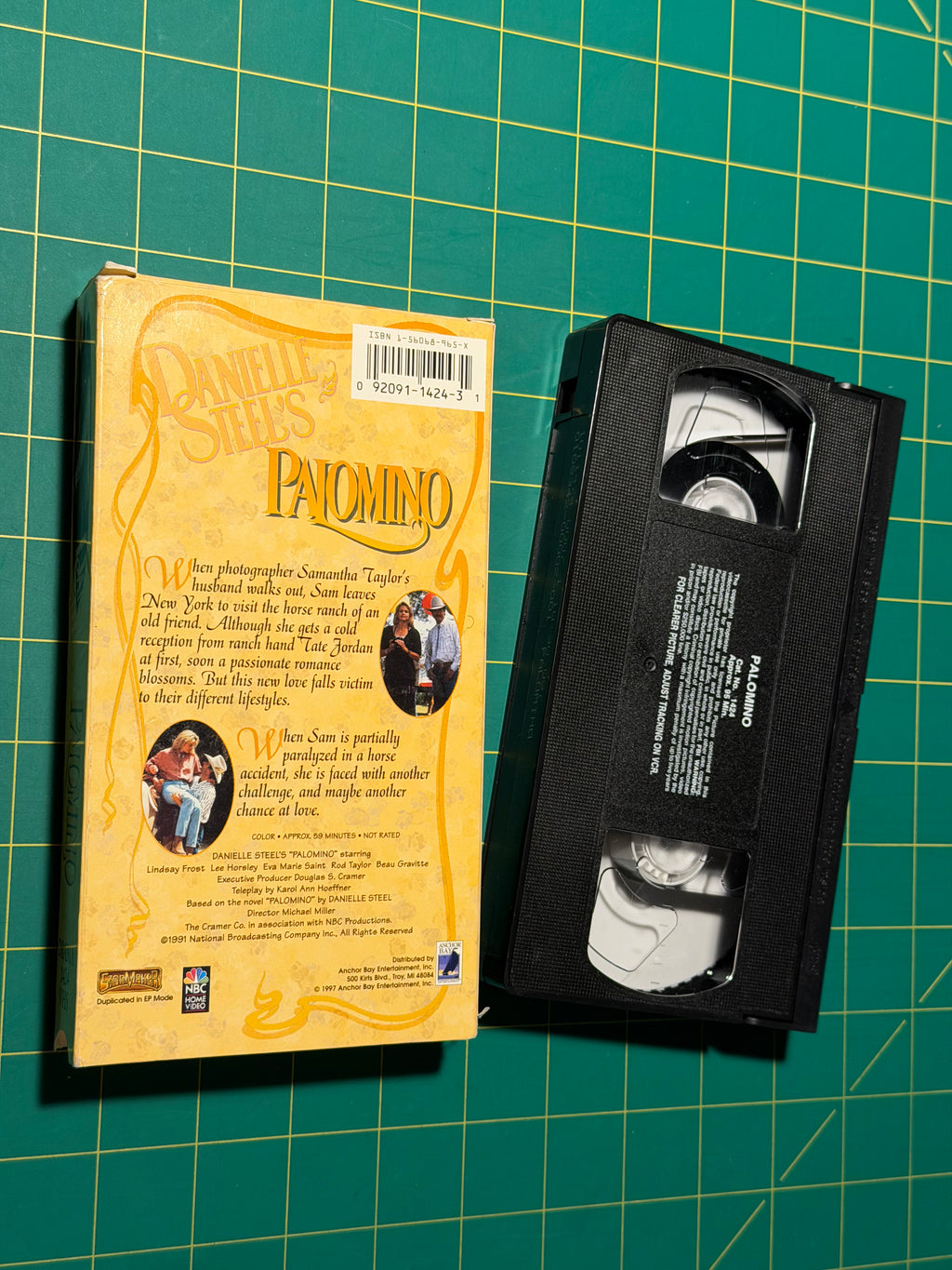 Danielle Steel's Palomino - VHS Tape, Used Good