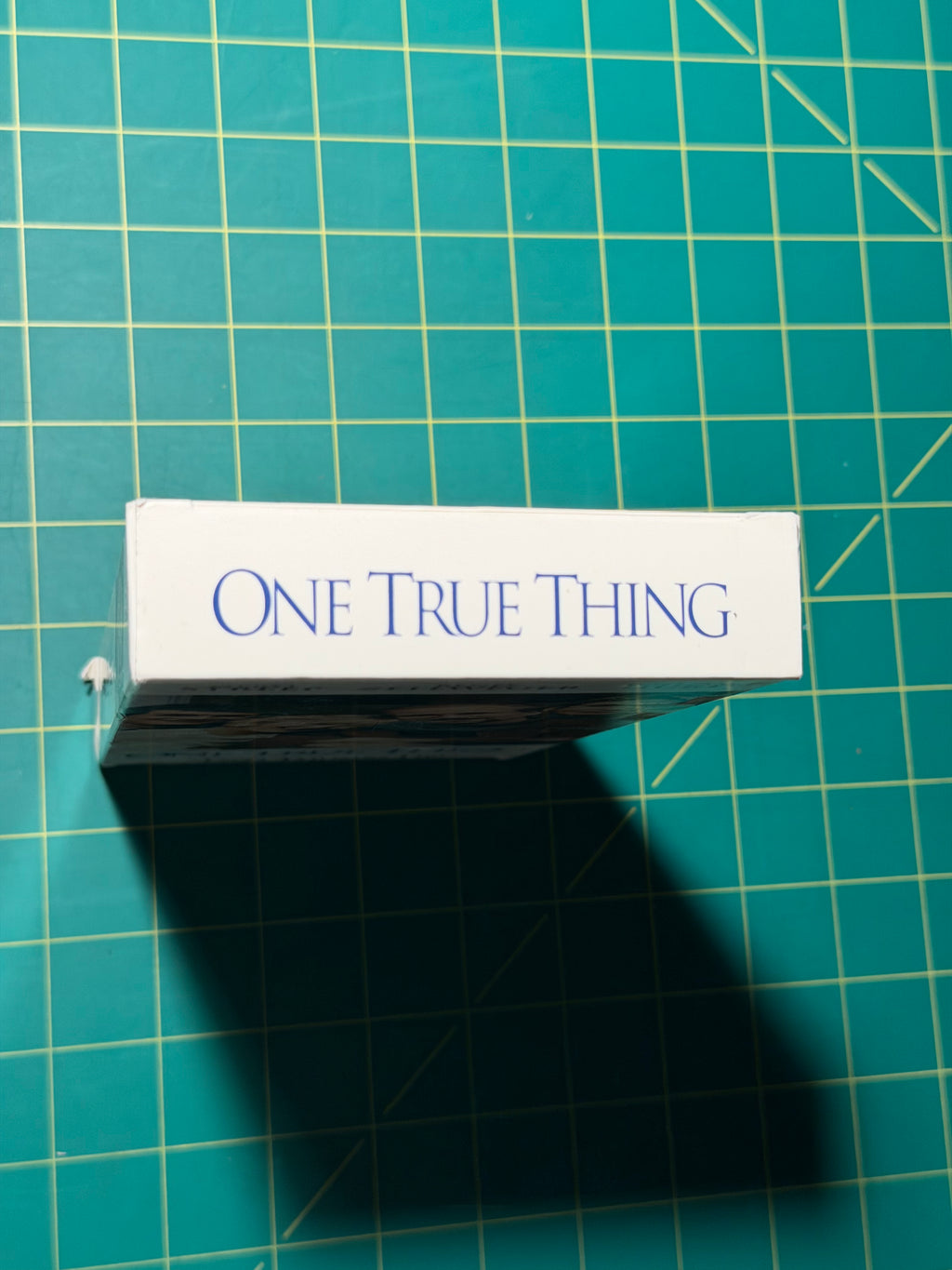One True Thing - VHS Tape, Used Acceptable