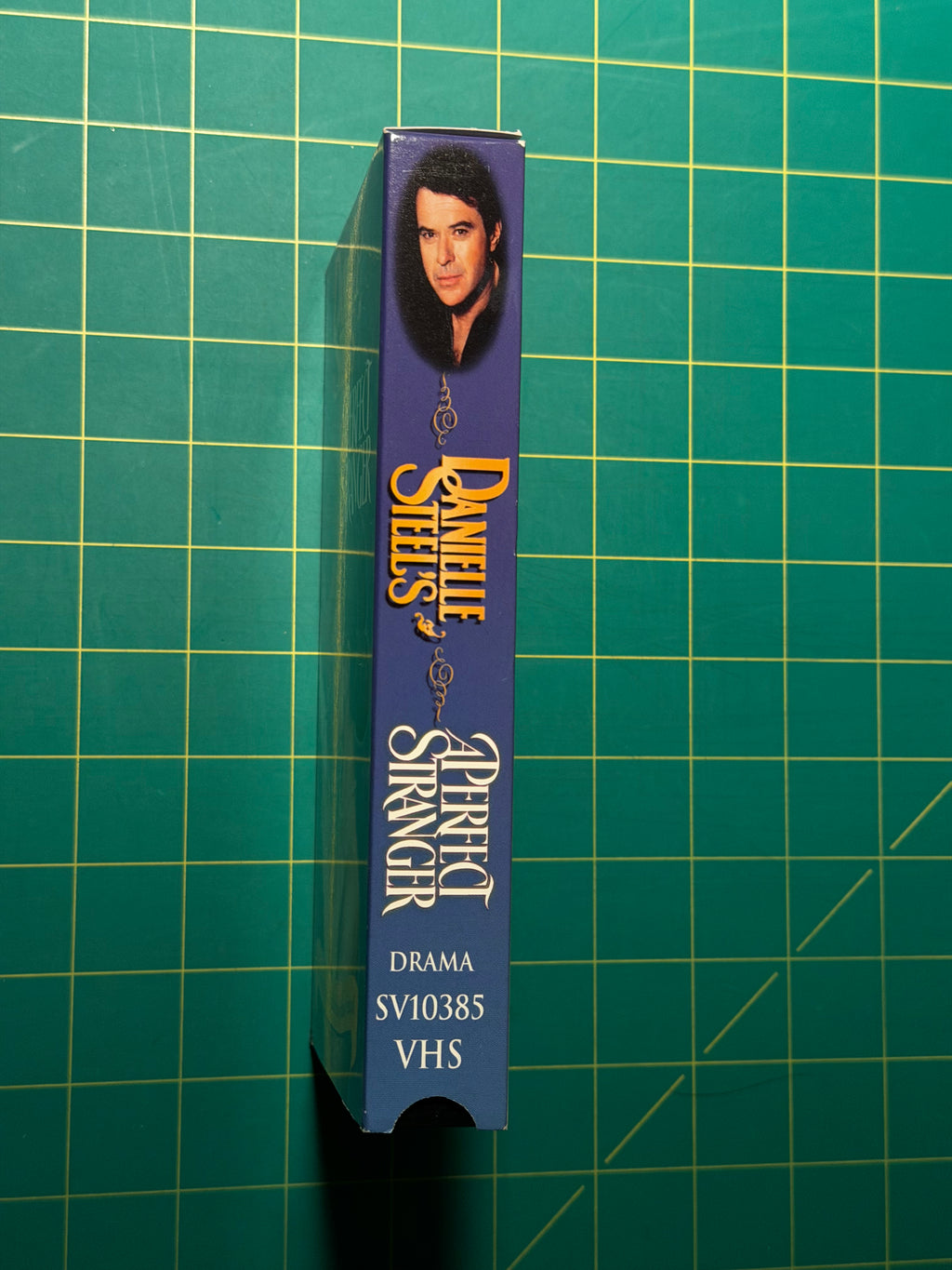 Danielle Steel's A Perfect Stranger - VHS Tape, Used Good