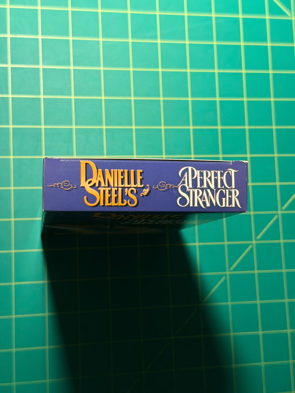 Danielle Steel's A Perfect Stranger - VHS Tape, Used Good