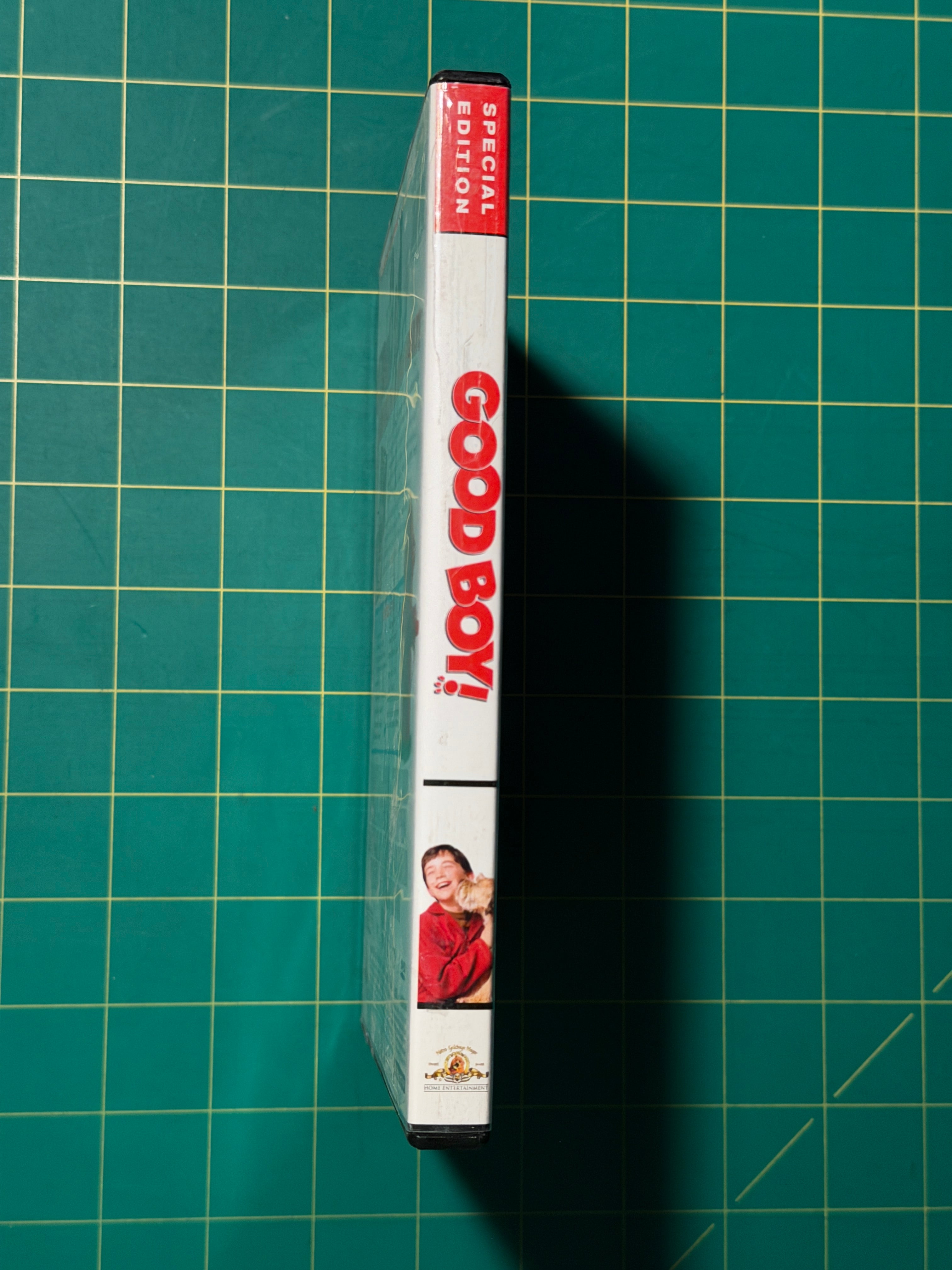 Good Boy - DVD, Used Good