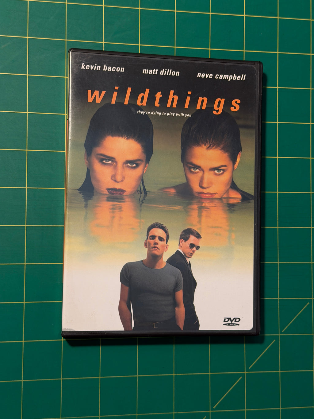 Wild Things - DVD, Used Good