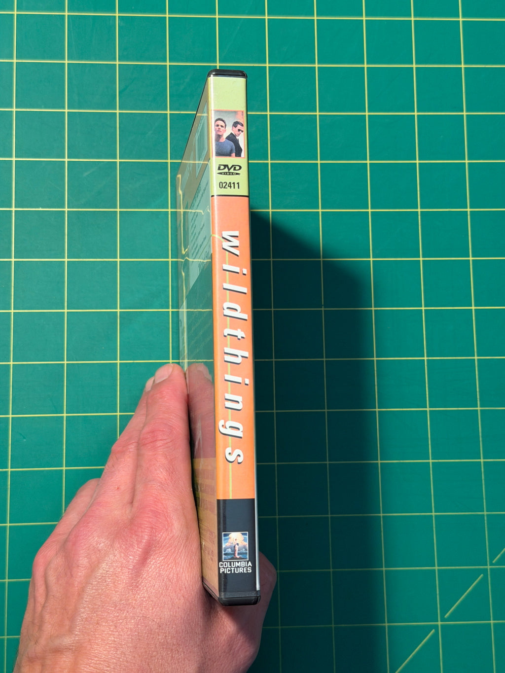 Wild Things - DVD, Used Good