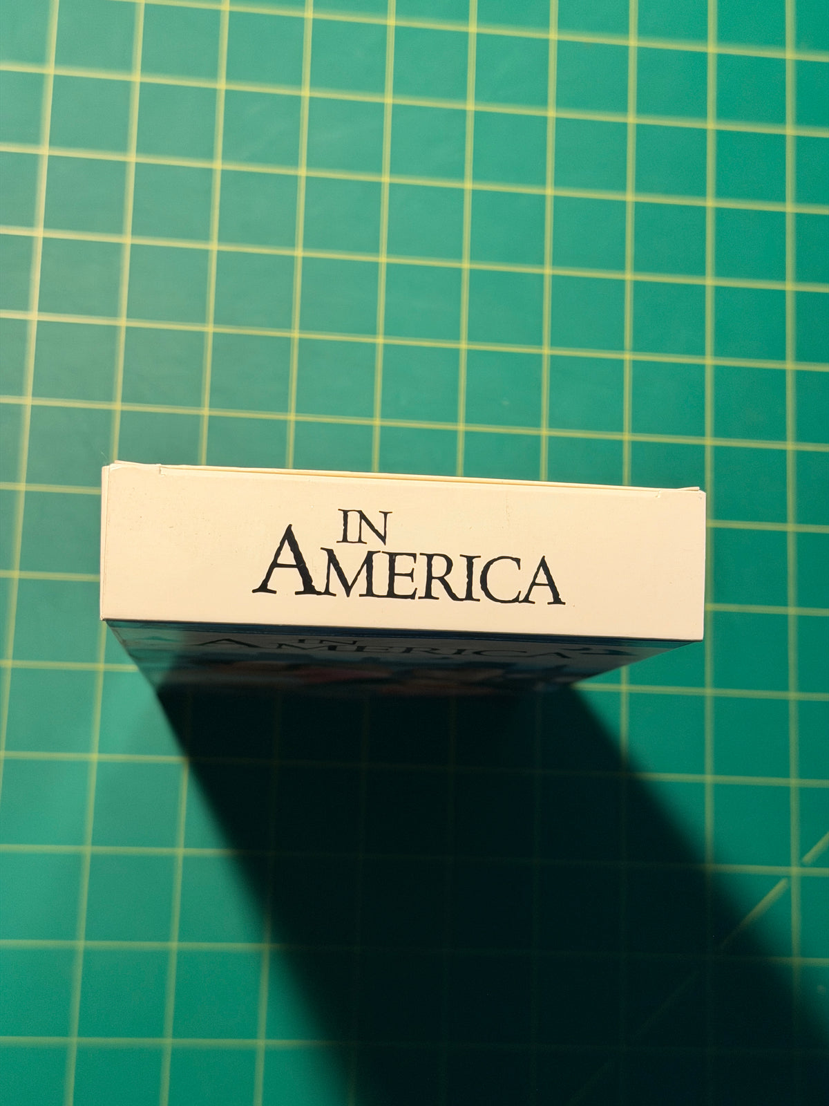 In America - VHS Tape, Used Good